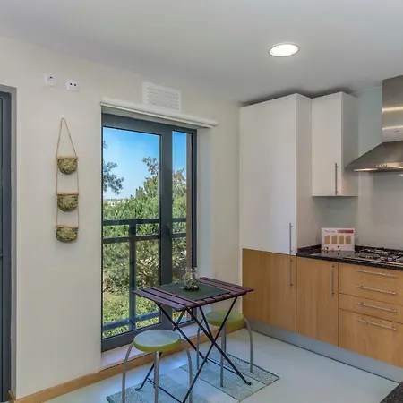 Feels Like With Balcony Apartment